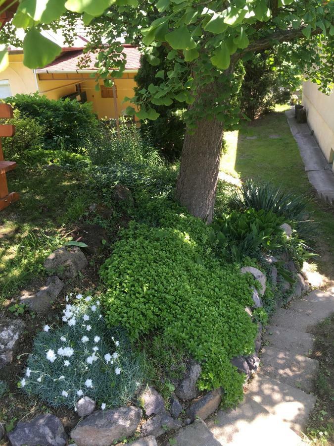 Bogoly Apartman Tokaj Esterno foto